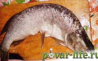 Щука в кляре рецепт с фото пошагово