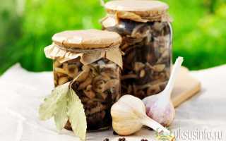 Грибы маринованные на зиму — 5 вкусных рецептов приготовления