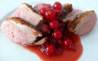 Соус из красной смородины на зиму – 9 самых вкусных рецептов