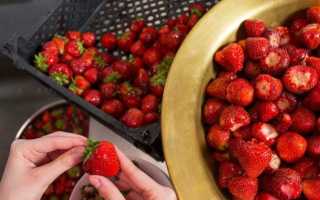 Заготовки из клубники на зиму золотые рецепты. Вкусная клубника на зиму рецепты