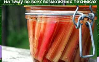 Мангольд на зиму рецепты – рецепты приготовления на зиму, заморозка и маринование с фото и видео