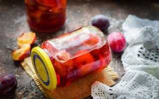 Сливы на зиму своими руками — рецепты заготовок на любой вкус