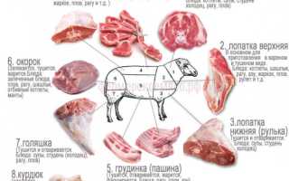 Как правильно приготовить настоящий вкусный плов
