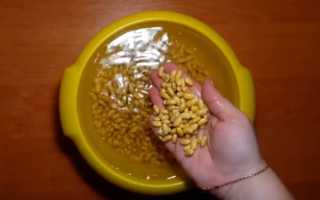 Блюда с тофу: рецепты что приготовить с тофу