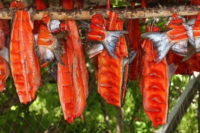 Балык из рыбы в домашних условиях: рецепты приготовления. Какая рыба идет на балык Кулинария,рецепты