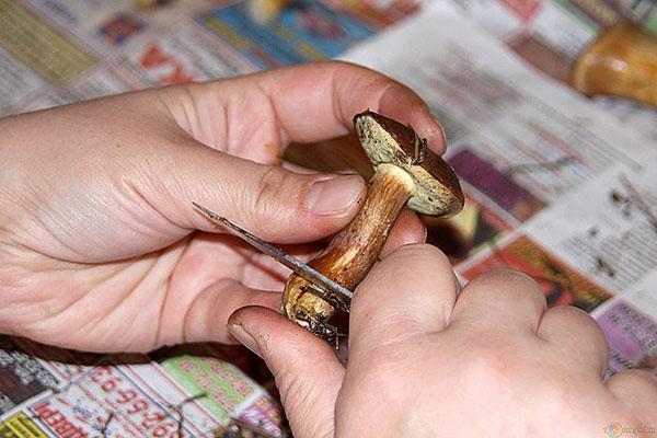 чистим грибы