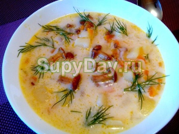 Грибной суп с мясом и лисичками