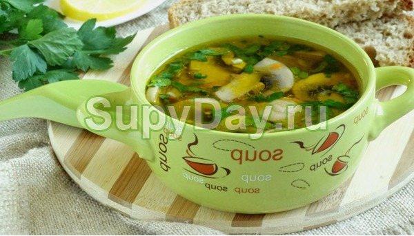 Грибной суп с мясом и соленым огурцом
