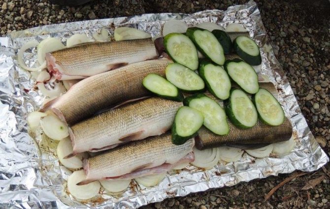 Хариус в фольге с огурцами