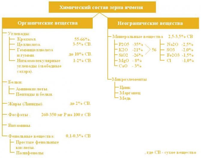 Химический состав ячменя