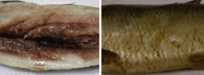 как посолить селедку в домашних условиях вкусно