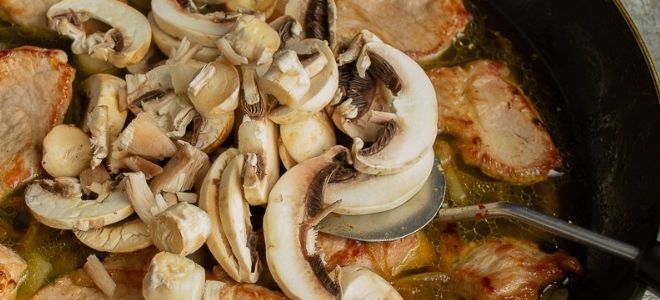 карбонат с грибами