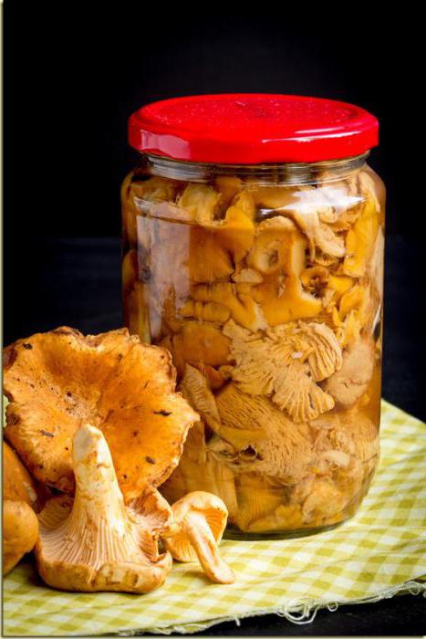 лисички грибы с картошкой