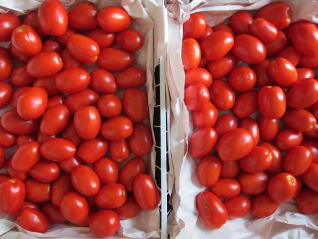 Помидоры в томатном соке: вкусные простые рецепты на скорую руку. Бонус-рецепт помидоров черри в томатном соку