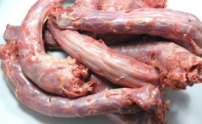 Шеи курицы