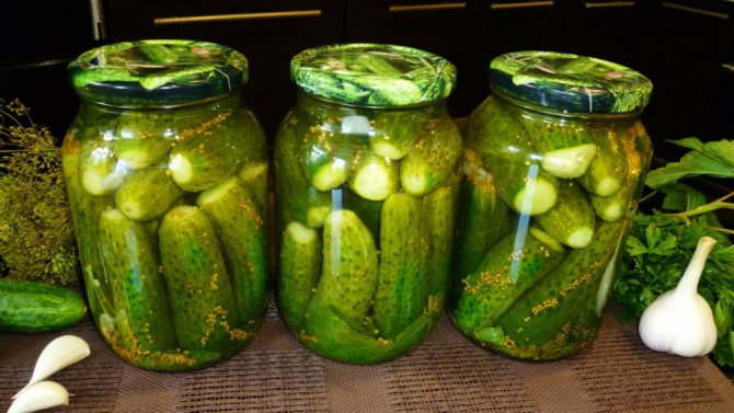 ТОП-6 вкуснейших рецептов засолки сладких огурцов на зиму в банках