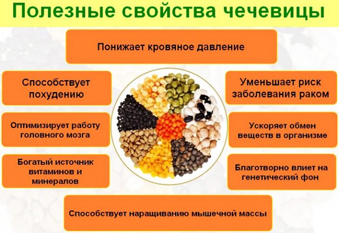 Веганское меню на неделю с рецептами. Список продуктов
