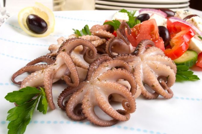 Замороженный морской коктейль советы